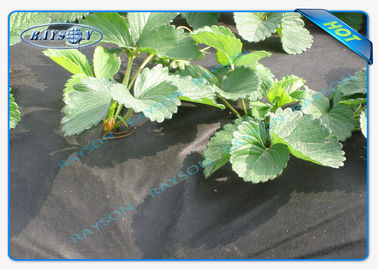 Membrana represiva no tejida permeable al agua de la mala hierba de la cubierta de la agricultura de la tela del jardín