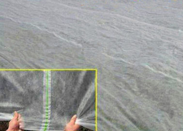 El invernadero PP filma la tela no tejida del paisaje de Spunbond con el polipropileno 100%